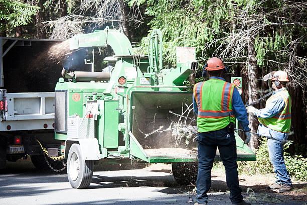 Centerville, TN Tree Services Company